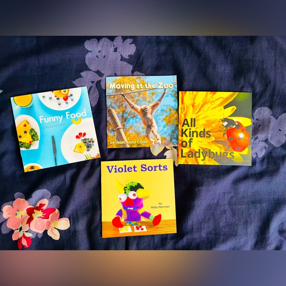 Mini Books Bundle